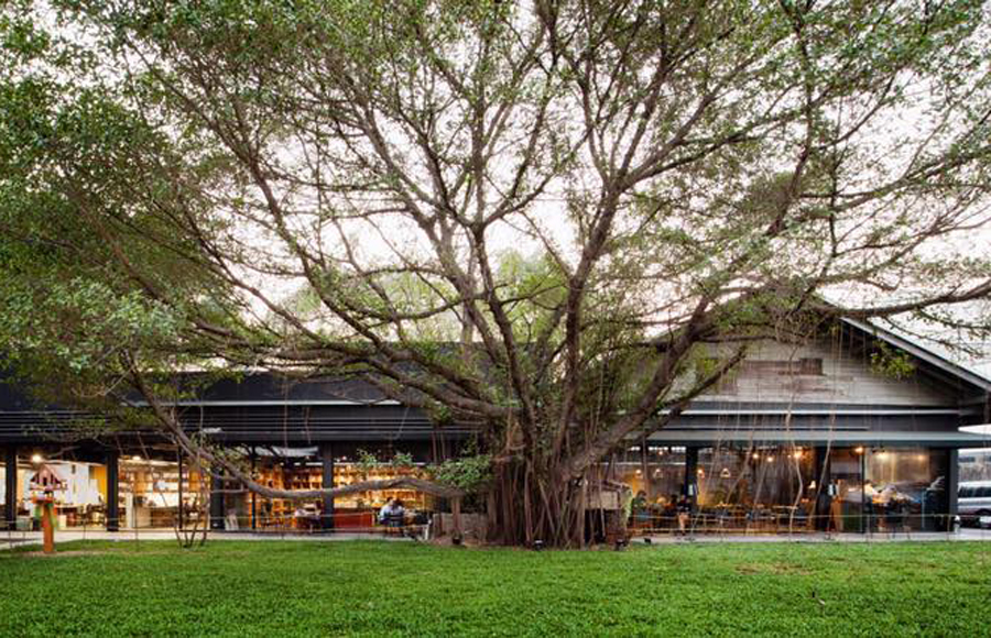 ร้านหนังสืออิสระสุดเท่ - CANDIDE BOOKS ร้านหนังสือก็องดิด